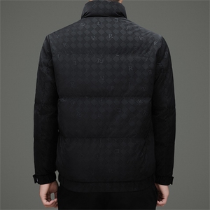 现货新标90白鸭绒羽绒服外套男士立领商务休闲羽绒服外套图片