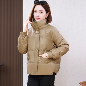 新款2023年立领专机走线新g标90白鸭绒短款羽绒服图片