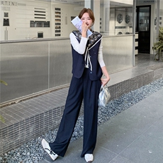 2C232-8655藏青色马甲两件套送丝巾p185-k258，女装套装/套裙，2C232