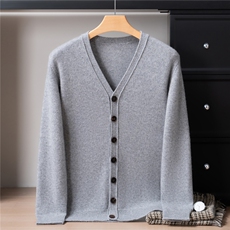 2025年秋季青春流行加厚基础开衫V领，男装针织衫/毛衣，戎禾素