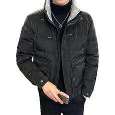 2025新款店主风男士立领羽绒服高级感潮流时尚外套YR8097-P145，男装羽绒服，电商A413