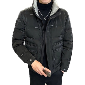2025新款店主风男士立领羽绒服高级感潮流时尚外套YR8097-P145图片