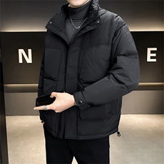 标90白鸭绒店主风冬季高级感无帽立领羽绒服外套男X8608-P300，男装羽绒服，电商A413