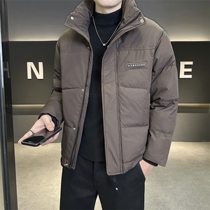 店主风 2025年新款时尚立领潮流保暖羽绒服男A236-G66-P195图片