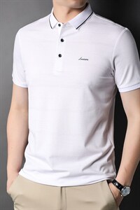 夏季新款男士翻领短袖t恤中年有领男装上衣服休闲POLO衫，男装T恤，电商B212（原钱塘6029）