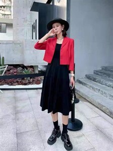 【现货】秋季新品 时尚丽人套装三色四码图片