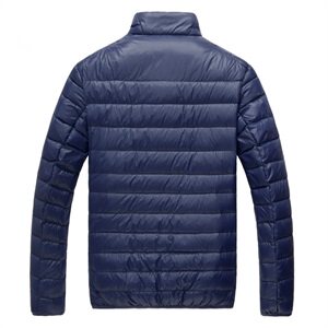 大货不跑毛 轻薄羽绒服男薄款立领连帽短款便携 外贸大码 778 P55图片