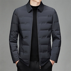冬季男士中年厚款休闲翻领白鹅绒羽绒服男装保暖外套SJ6607-P330，男装羽绒服，电商B212（原钱塘6029）