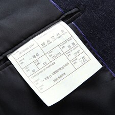 D2900限价498元秋季男式修身西服套装商务休闲外套西装P290，男装西服，电商B360