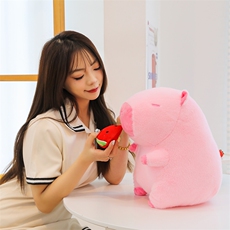 福笑玩具 西瓜水豚
