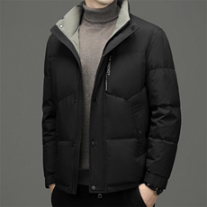 CAH9103钱塘2020-2冬季厚款商务休闲简约立领中年男士羽绒服P230，男装羽绒服，钱塘207-2