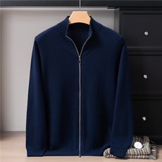 2025年秋季长袖青春流行半高领加厚拉链开衫，男装针织衫/毛衣，戎禾素