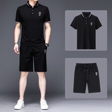 2023夏季新款运动套装男士宽松休闲薄款短袖t恤时尚百搭男装，男装休闲套装，电商B212（原钱塘6029）