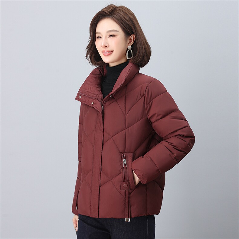 2024年冬季新款时尚立领棉服休闲羽绒棉棉服,女装棉衣/棉服,依恋蒂丝