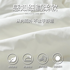 cityboy羽绒服连帽高品质保暖情侣冬90白鸭绒2025 SYR2602-P270图片