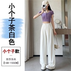 茶白色小个子