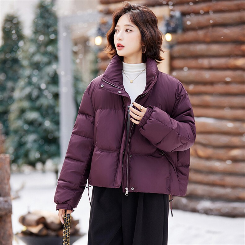 【现货】短款羽绒服女冬2024新款小个子立领显瘦加厚白鸭绒外套,女装羽绒服,仁梯