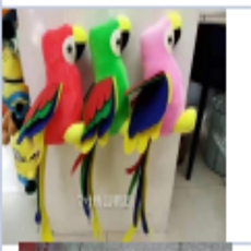 孙闯毛绒玩具 多彩鹦鹉B款