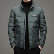 冬灰鹅绒羽绒服男立领保暖气质羽绒服时尚休闲XS98983-P266，男装羽绒服，钱塘6003A(原)4033A