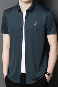 短袖衬衫男夏中青年夏季冰丝无痕弹力舒适新款商务衬衣男图片
