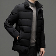 2023年新款棉服P105，男装棉衣，电商D223-1
