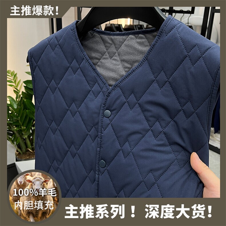 2025冬季中老年男士马甲绵羊毛填背心充休闲内搭保暖打底衫男装,男装背心/马甲,钱塘6003（原4033）