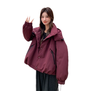 现 货 派克羽绒服 （90绒）2C007--0037-P265-K388图片
