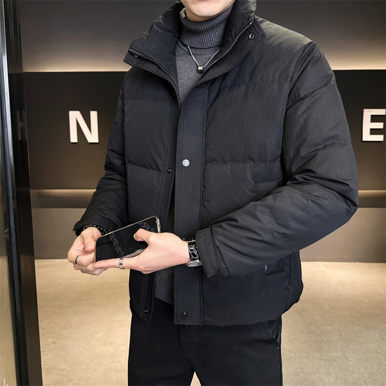 标50绒立领男士羽绒服冬季2025新款加厚冬装外套B255-2537-P225，男装羽绒服，电商B255