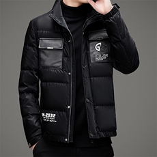 2023年休闲时尚高端男士羽绒服P598，男装羽绒服，电商D223-1