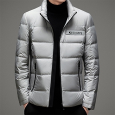 2023年冬季新款商务休闲羽绒服中青年男士立领外套MSNA88615-P255，男装羽绒服，电商B212（原钱塘6029）