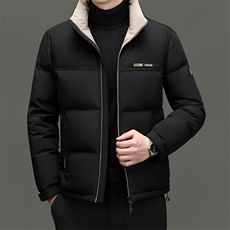 DF31806钱塘2020-2时尚百搭冬季厚款连帽中年男士羽绒服P263，男装羽绒服，钱塘207-2