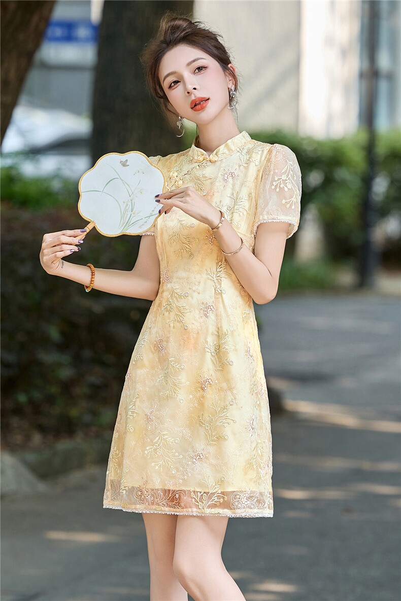 新中式国风连衣裙女2025夏新款高端轻奢精致刺绣气质显瘦旗袍裙,女装连衣裙,艾仟回(原伊仟回)