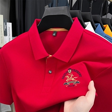 翻领polo衫男士夏季新款高端轻奢刺绣有领短袖体恤衫，男装Polo衫，电商B212（原钱塘6029）