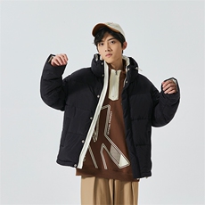 新标90白鸭绒简约休闲立领外套纯色加厚羽绒服ESY0204-P210，男装羽绒服，电商B306