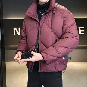 新标90绒 冬季男士立领泡芙云朵羽绒服宽松保暖外套 2728-P325图片