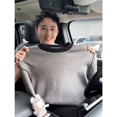 大货DY310-特批58重磅针织衫毛衣高质量支持货比，男装针织衫/毛衣，星座603-2