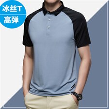 BH61507钱塘2020-2锦氨精品男士翻领速干休闲运动短袖T恤P55图片