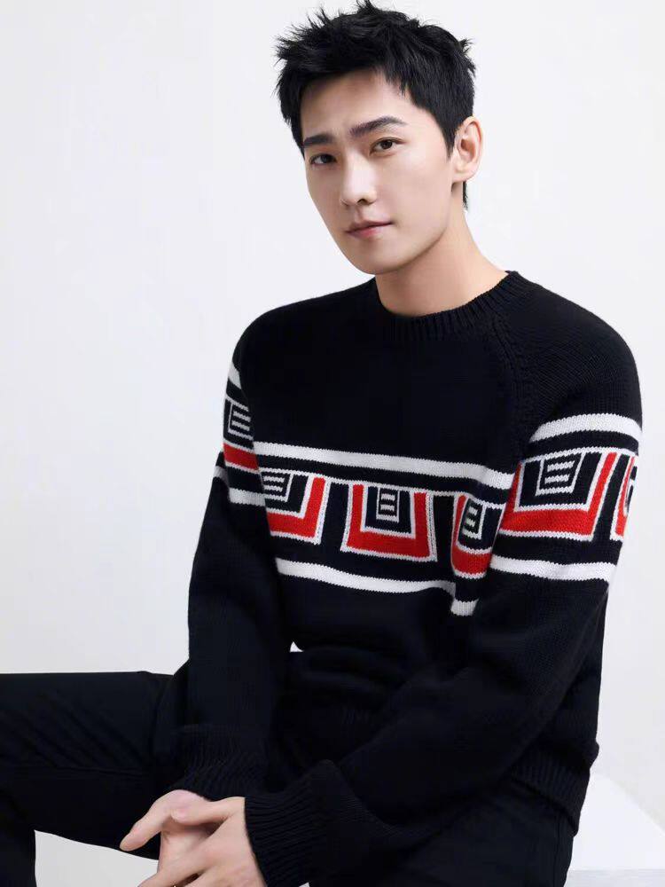 2025年秋季长袖青春流行圆领套头加厚提花，男装羊毛衫，圣强羊绒