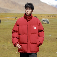 2024冬季新款cityboy大码字母印花棉衣M-5XHM24753-8-特P55，男装棉衣，电商A022