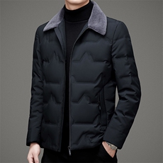 DZ1F17钱塘2020-3冬季厚款商务休闲翻领中年男士羽绒服P195，男装羽绒服，钱塘207-3