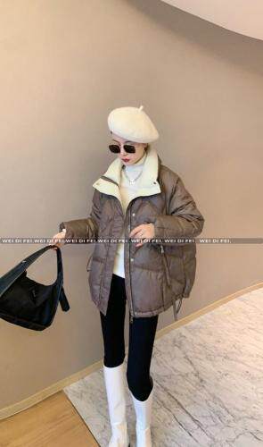 冬款发布，女装，微迪菲