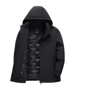 BAMJ-8935钱塘2020-2中年男士冬季厚款商务休闲简约羽绒服P265图片