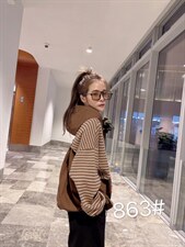 2021秋季新款连帽卫衣，女装卫衣/绒衫，柏旺阁