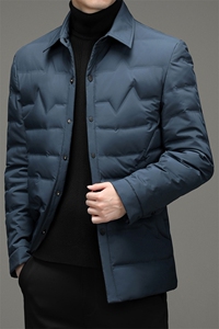 BZS8011钱塘2020-2秋冬中年男士翻领商务休闲羽绒服外套货稳P180图片
