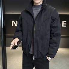 新标902025新款潮流保暖宽松立领白鸭绒羽绒服5875-P255，男装羽绒服，电商A413