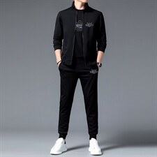 中老年夹克立领套装男春秋季休闲爸爸秋装中年男士运动服两件套，男装休闲套装，电商B212（原钱塘6029）