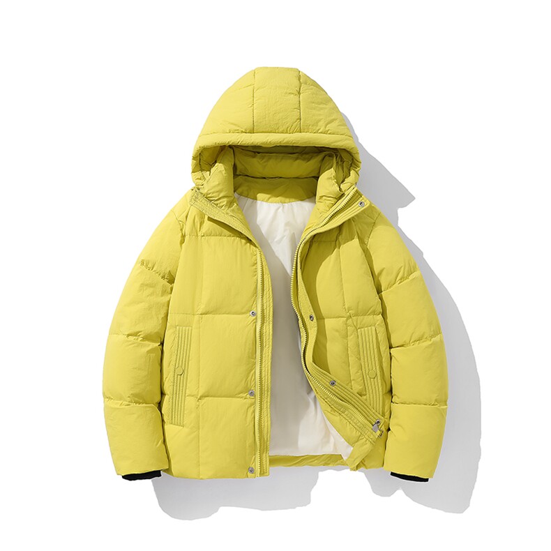 新标90白鸭绒简约休闲连帽外套纯色加厚羽绒服ESY0209-P210，男装羽绒服，电商B306