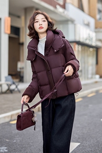 【现货】时尚拼接连帽短款羽绒服女2024冬季新款洋气加厚保暖外套图片