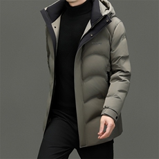 DF31805钱塘2020-2时尚简约冬季厚款连帽中年男士羽绒服P303，男装羽绒服，钱塘207-2