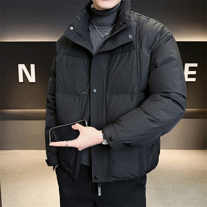 店主风 2025新标90白鸭立领面包服短款羽绒服男LMS2502-P310图片